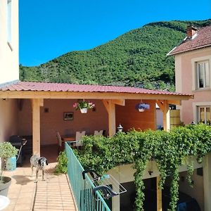 Hôtel des Alpes